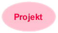 Projekt